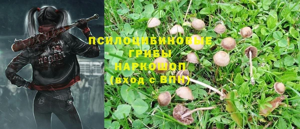 меф Алексеевка
